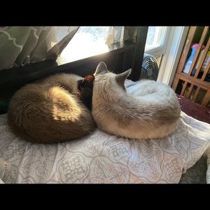 Meet your Posher, Christopher